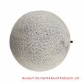Butyl Bladder Export to Pakistan for Machine & Hand Sewn Balls